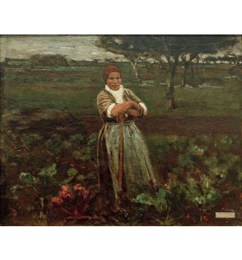 Worker In The Turnip Field