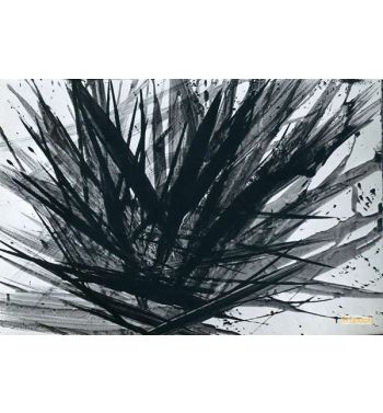 Black White