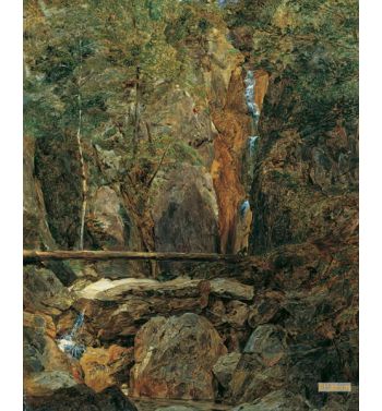 The Rettenbach Wilderness Near Ischl