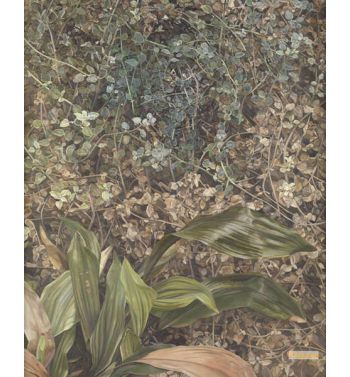 Two Plants