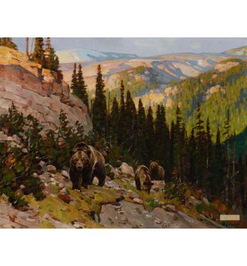 Out of the Canyon