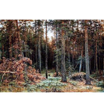 Pine Forest 1885