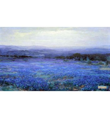 Panoramic Landscape