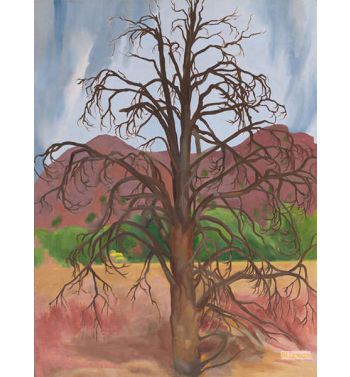 Dead Piñon Tree 1943