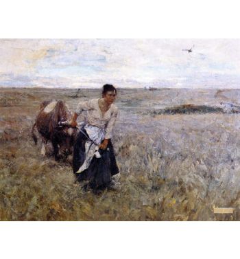 Homesteader's Wife