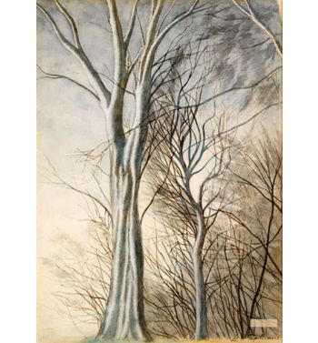 Trees