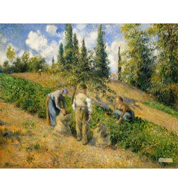 The Harvest Pontoise