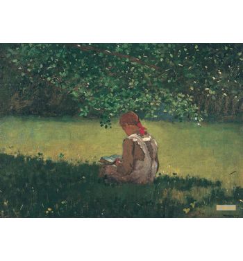 Reading By The Brook