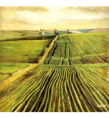 The Shoots Of Autumn Crops