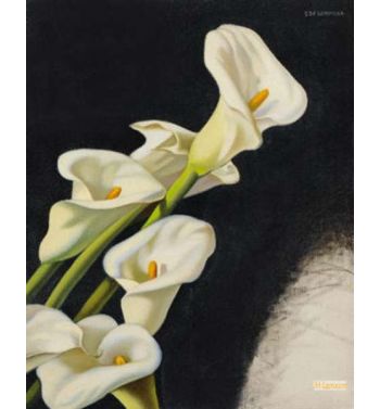 Arums Study 