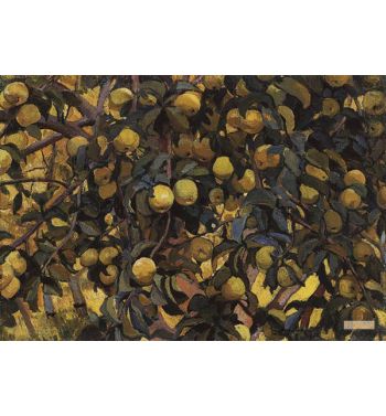 Apples On The Branches