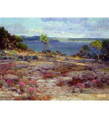 Mountain Pinks In Bloom, Medina Lake, Southwest Texas