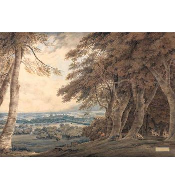 Windsor
