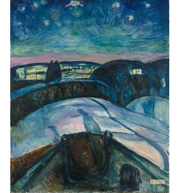 The Starry Night