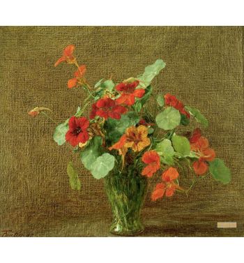 Capucines, Nasturtiums