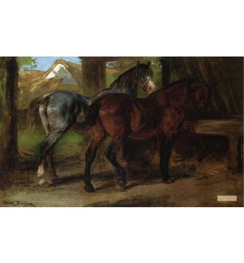 Dois Cavalos Num Estábulo
