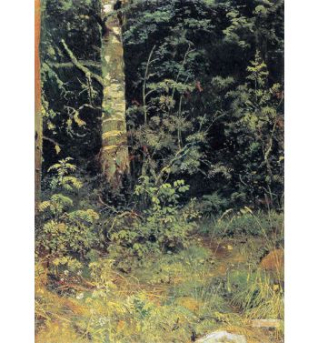 Birch And Rowan 1878