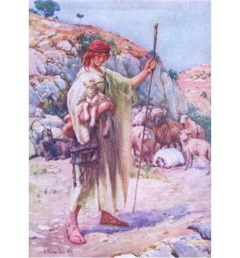 David The Shepherd