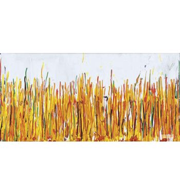 Campo di Grano 2