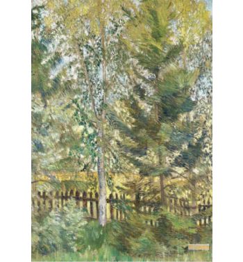 Pinetrees and Birches