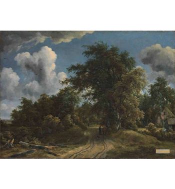 Woodland Road
