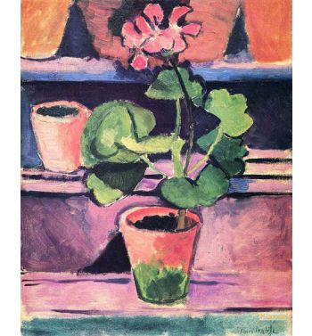 Pot Of Geraniums