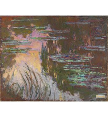 Water Lilies Setting Sun