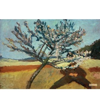 Lying Man Under Flowering Tree