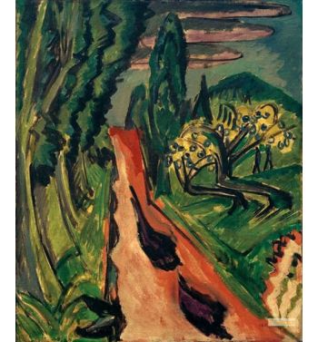 Car Road In The Taunus