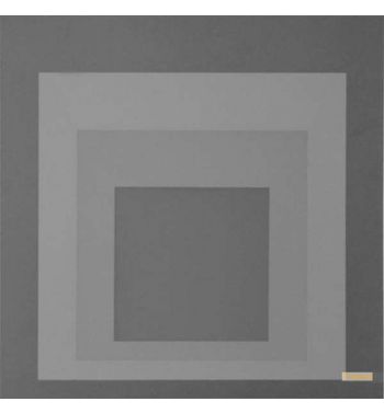 The Surface