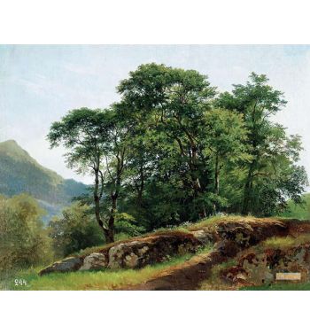Beech Forest In Switzerland 1863