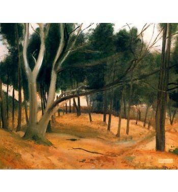 The Path Of Forest 1928