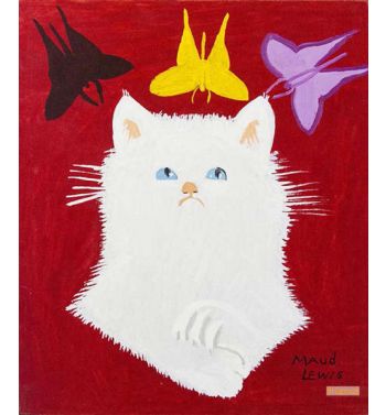 Portrait Of White Cat And Framed Envelope 1