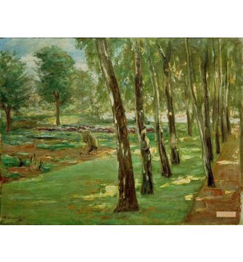 The Birch Alley In The Wannseegarten View Of The Kohlfeld