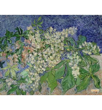 Blossoming Chestnut Branches