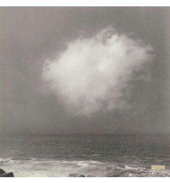 Wolk