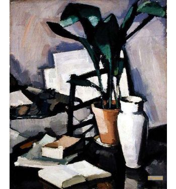 Aspidistra