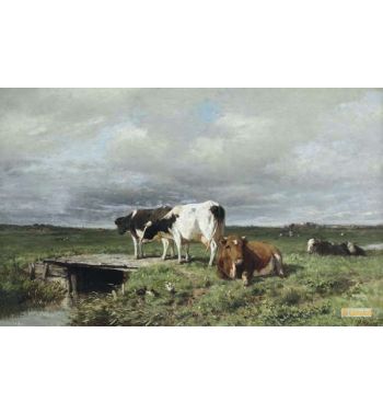 Cattle In An Extensive Polder Landscape