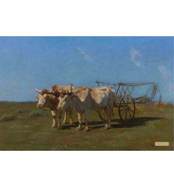 Two White Oxen Pulling A Cart