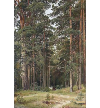 A Summer Day Merikiul 1895