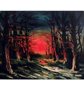 Sunset In The Forest Of Senoches