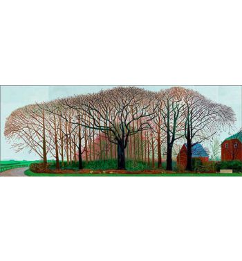 Bigger Trees Near Warter