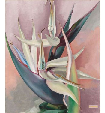 White Bird Of Paradise 1939
