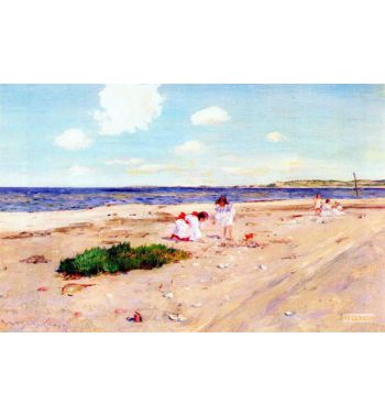 Shell Beach At Shinnecockn