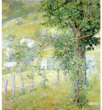 Hillside In Summer
