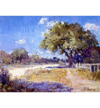 Texas Landscape