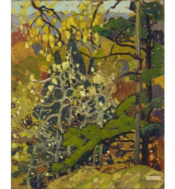 Autumn Splendor