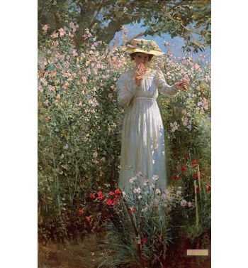Among The Flowers