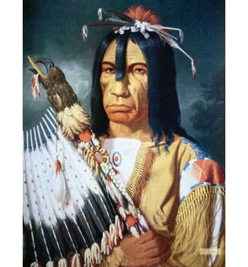 Native American Chief Of The Cree People Of Canada