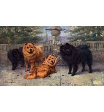 Four Champion Chow Chows Owned By Mrs Scaramanga
